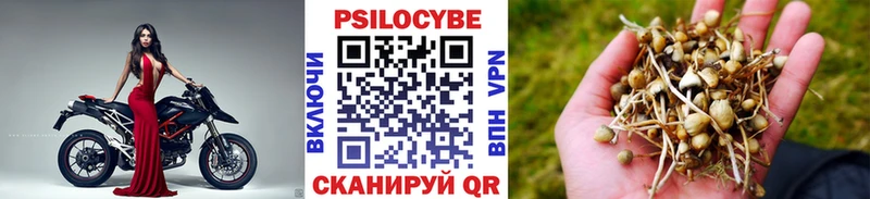 Псилоцибиновые грибы мухоморы  Саранск 